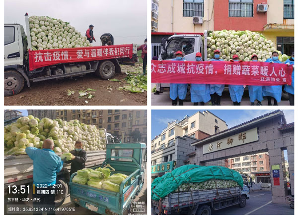 东正集团爱心传“蔬” “菜”暖人心